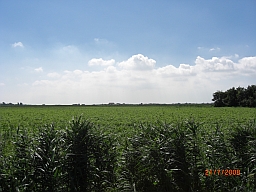 Texel Landschaft